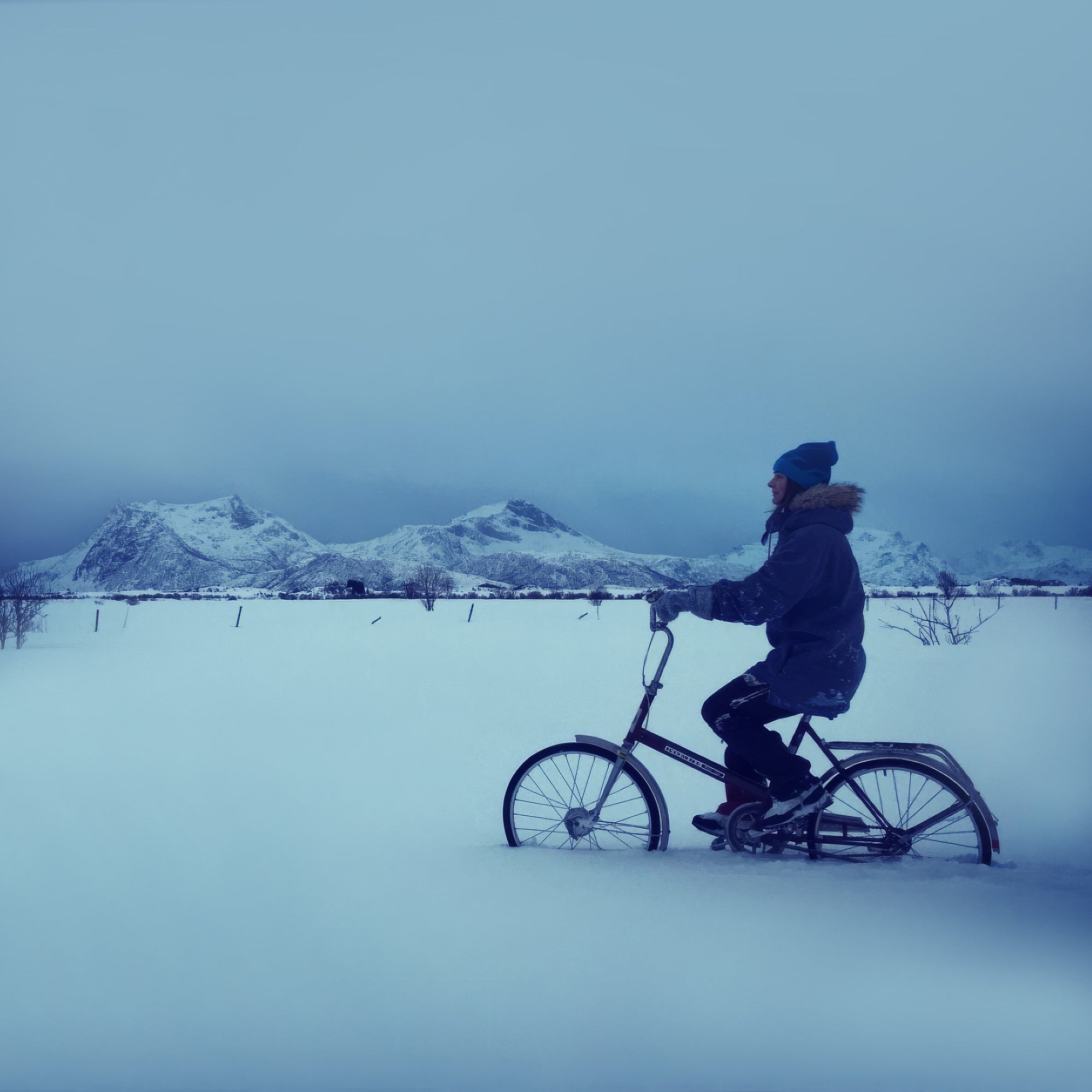 Winter Photography in Lofoten