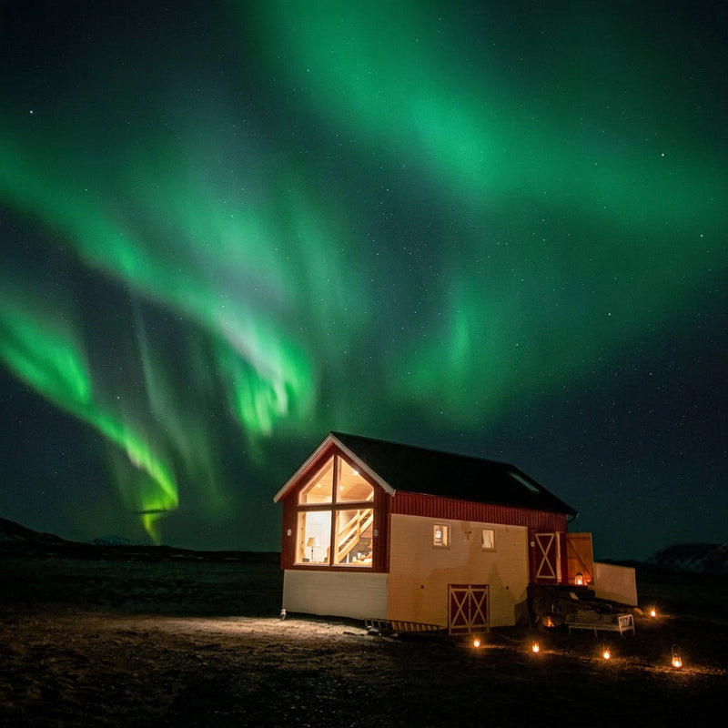 Chasing the Northern Lights in Lofoten